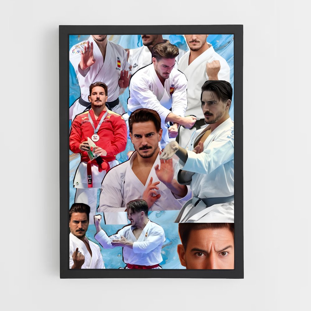 Poster Maîtrise du Karaté (vue 2)